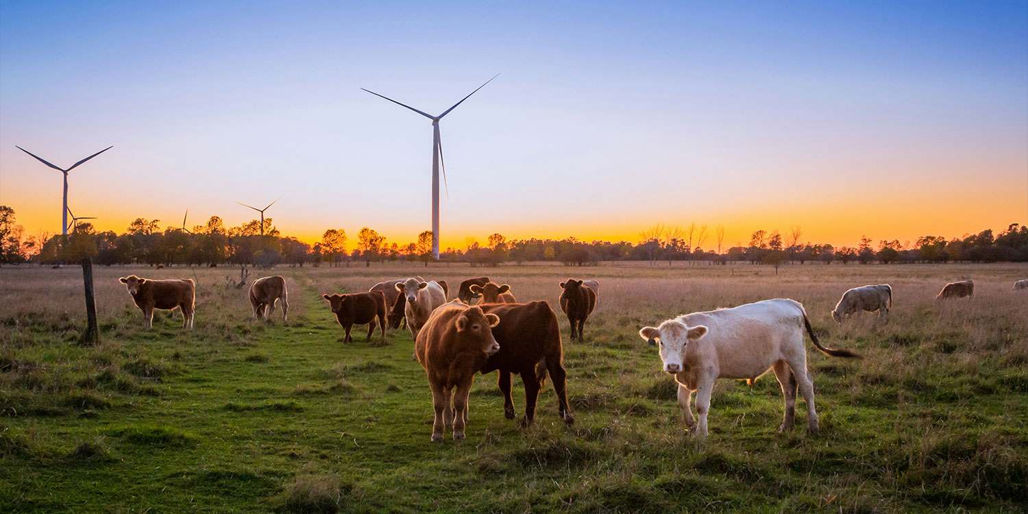 k8������(����) - �ٷ���վ