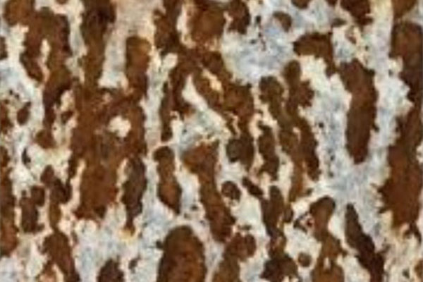 k8������(����) - �ٷ���վ