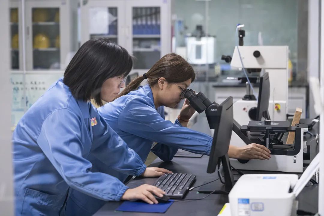 k8������(����) - �ٷ���վ